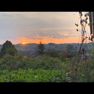 Meet your Posher, Zoe